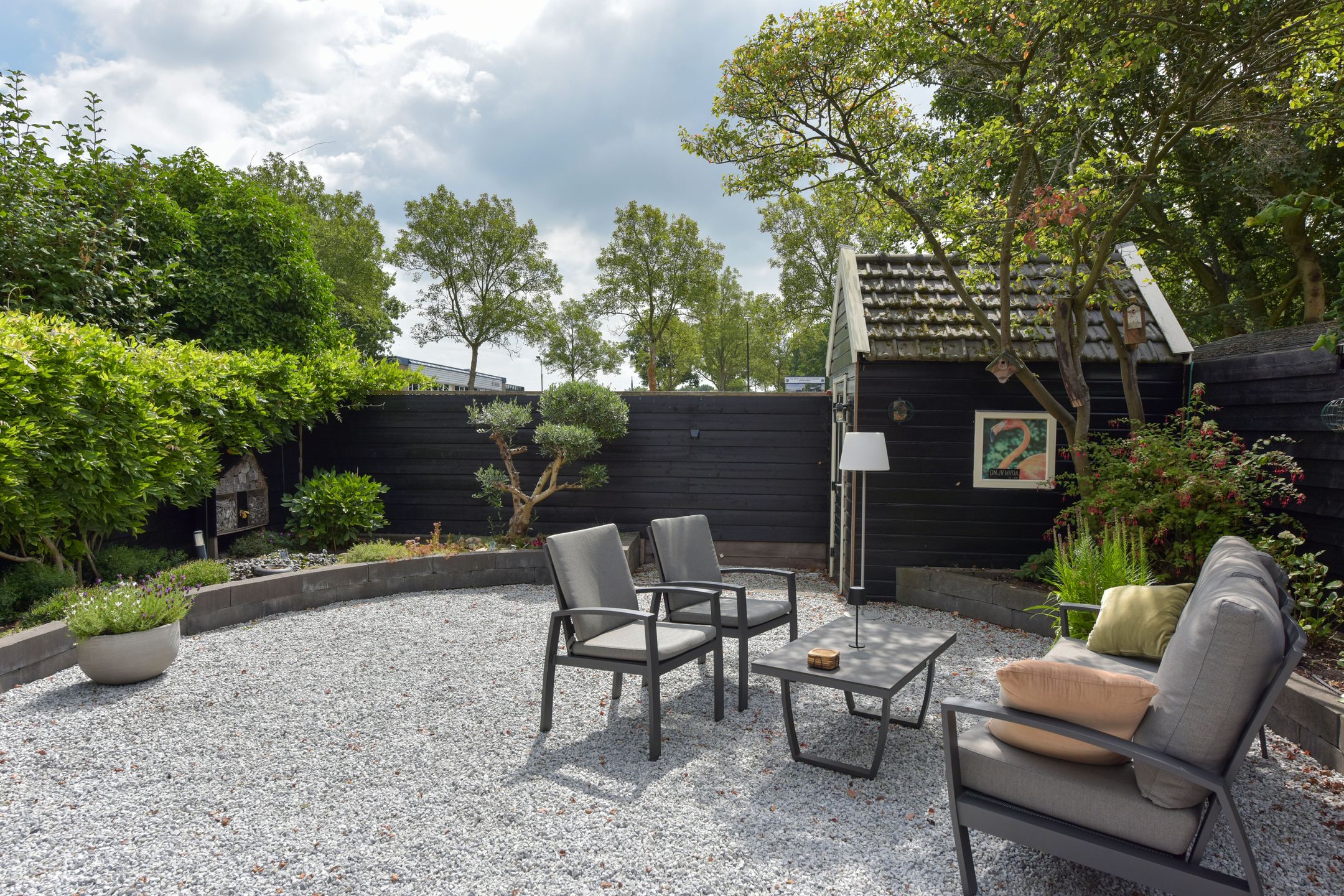 Foto 33 van Scholekster 7