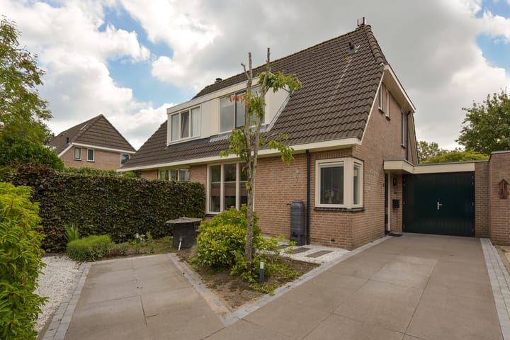 Foto 36 van Scholekster 7