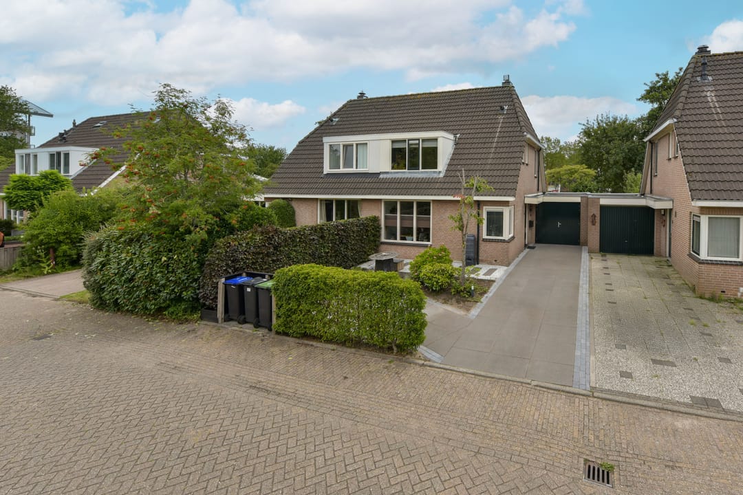 Foto 37 van Scholekster 7