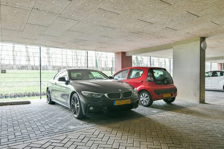 Photo 11 of Vesting 10