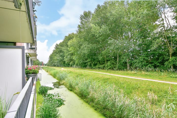 Photo 39 of Vesting 10