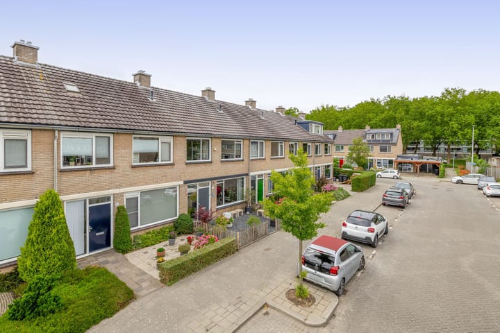 Foto 5 van Balsemkruid 15