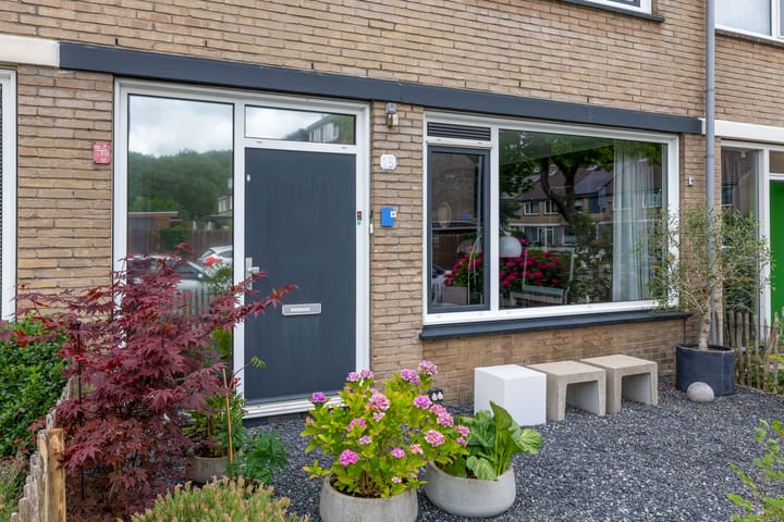 Foto 6 van Balsemkruid 15