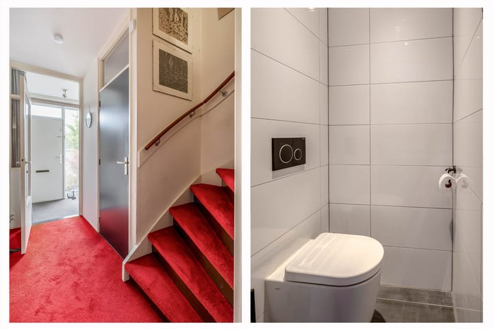 Foto 8 van Balsemkruid 15