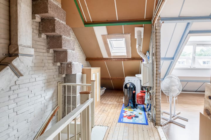 Foto 32 van Balsemkruid 15