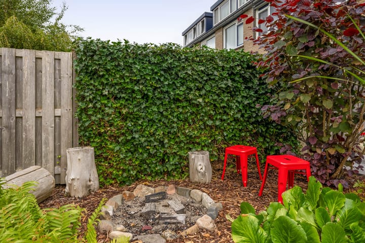 Foto 41 van Balsemkruid 15