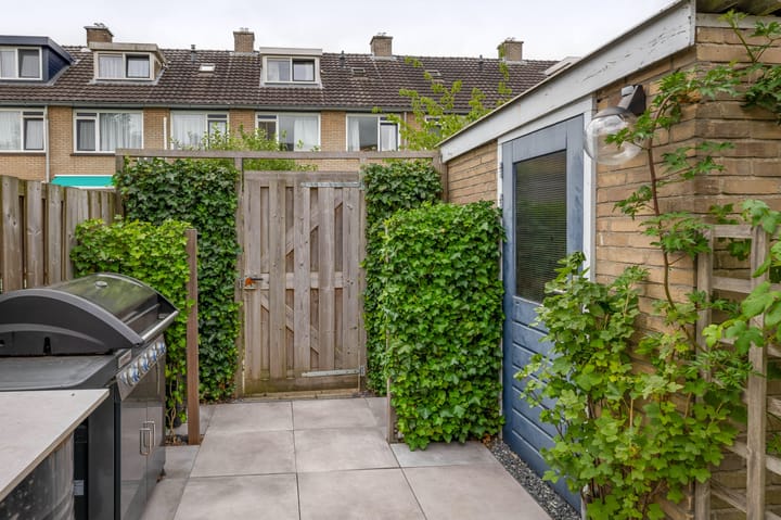 Foto 42 van Balsemkruid 15