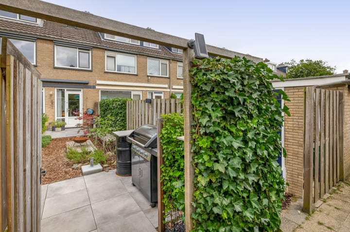 Foto 43 van Balsemkruid 15