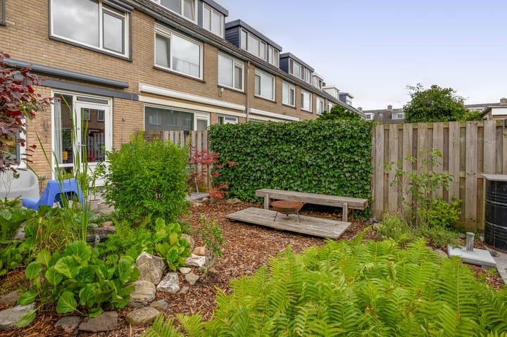 Foto 45 van Balsemkruid 15