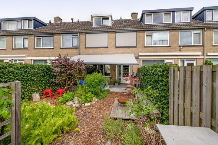 Foto 47 van Balsemkruid 15