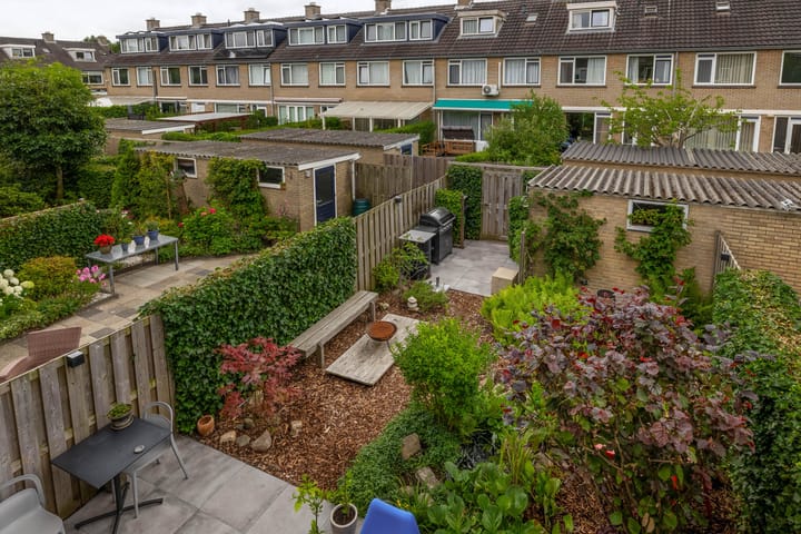 Foto 49 van Balsemkruid 15