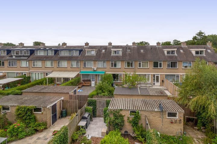 Foto 50 van Balsemkruid 15