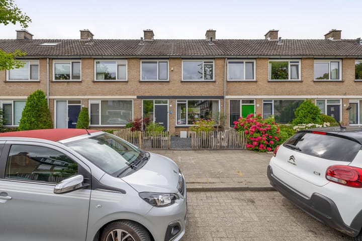 Foto 51 van Balsemkruid 15