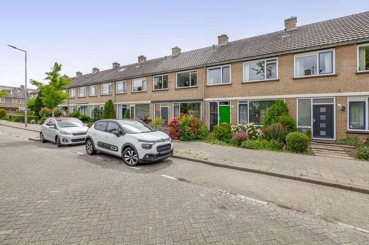 Foto 53 van Balsemkruid 15