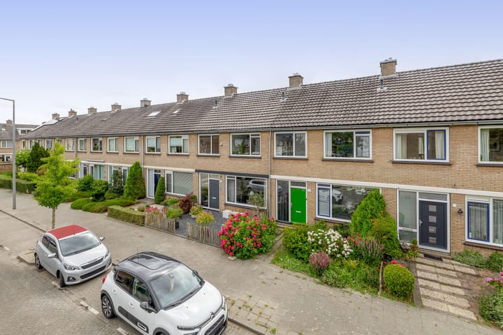 Foto 54 van Balsemkruid 15