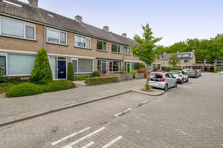 Foto 55 van Balsemkruid 15