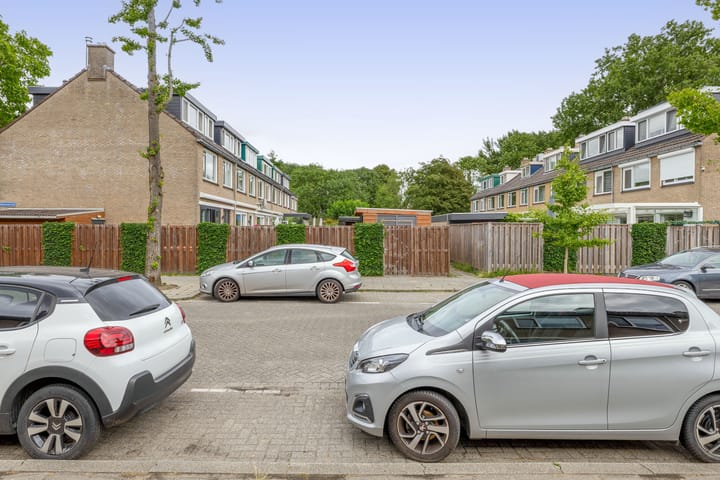 Foto 56 van Balsemkruid 15