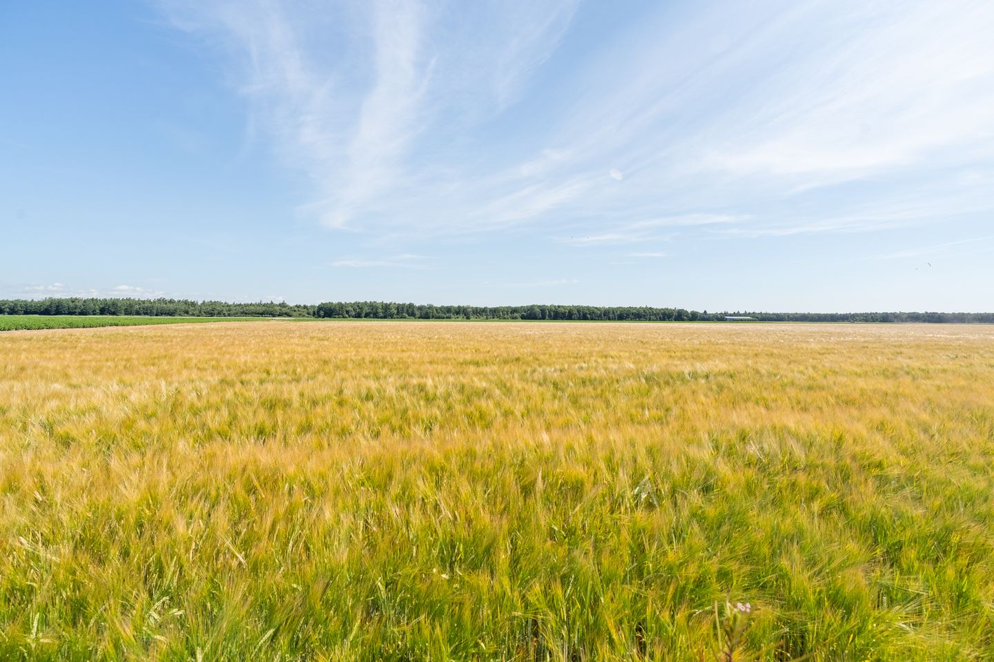 Foto 5 van Wellerzandweg 6-B