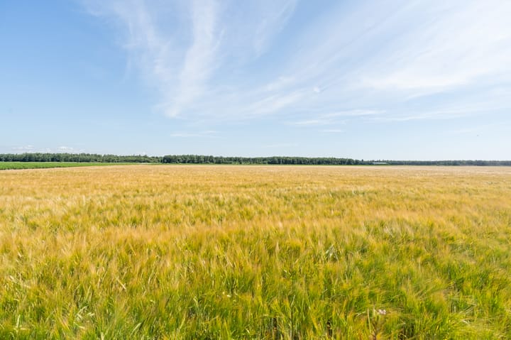 Foto 5 van Wellerzandweg 6-B