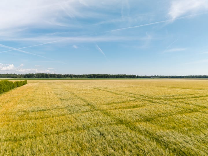 Foto 34 van Wellerzandweg 6-B