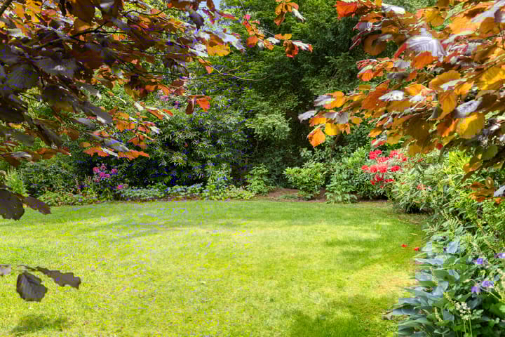 Foto 40 van Sparrenlaan 3