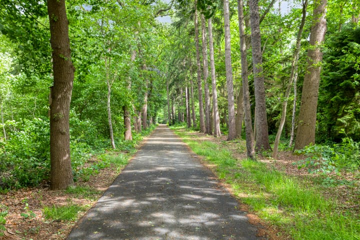 Foto 43 van Sparrenlaan 3