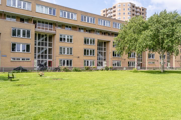 Foto 2 van Buizenpark 114