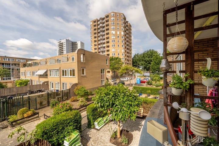 Foto 3 van Buizenpark 114