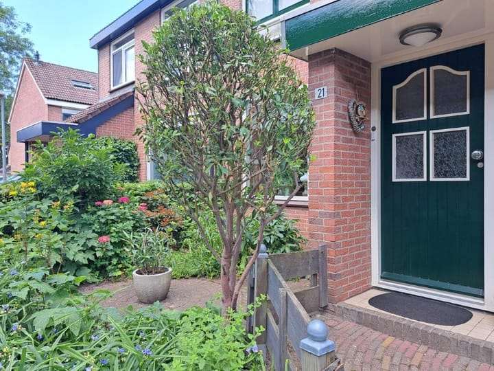 Foto 2 van Meerkoet 21