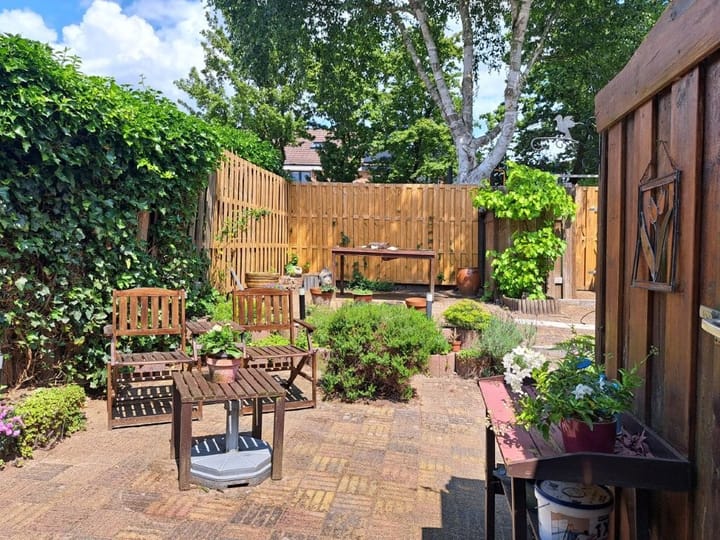 Foto 12 van Meerkoet 21