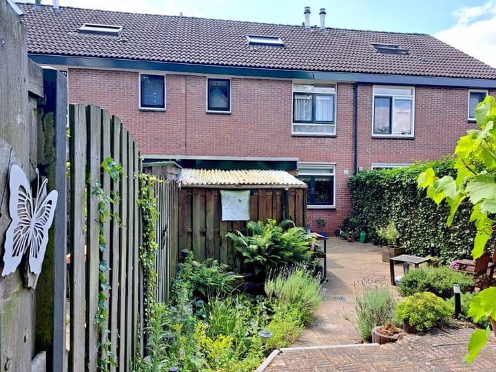 Foto 15 van Meerkoet 21