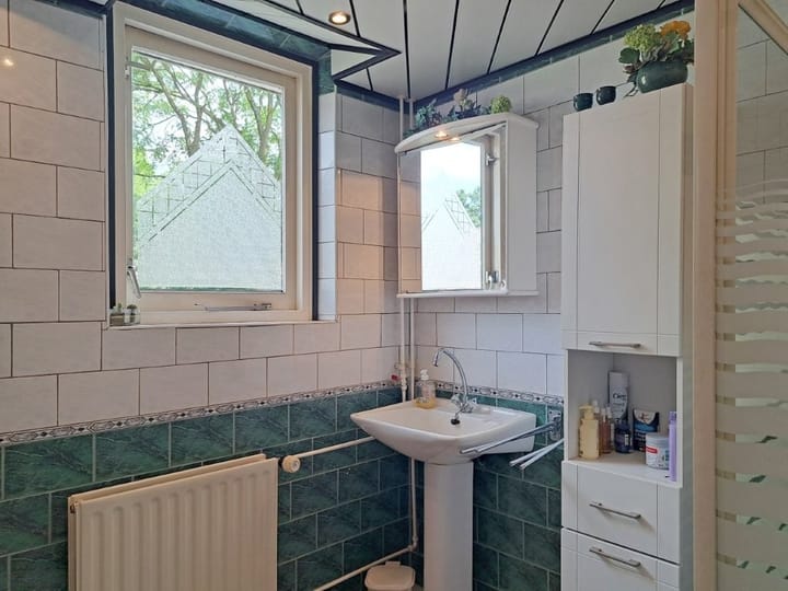 Foto 29 van Meerkoet 21