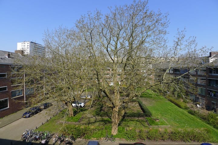 Foto 13 van Rietnesse 5-3