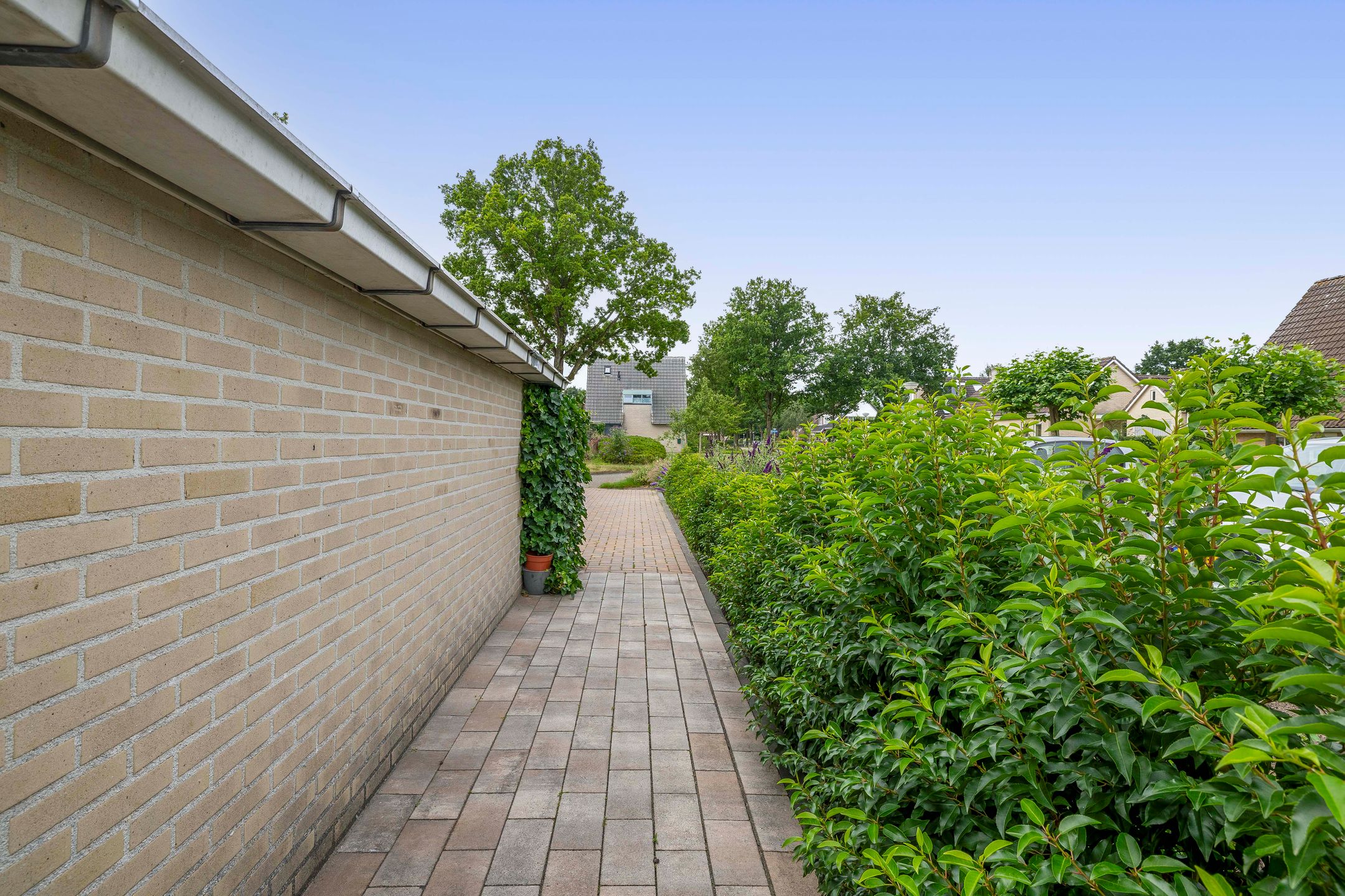 Photo 33 of Patrijsweg 1