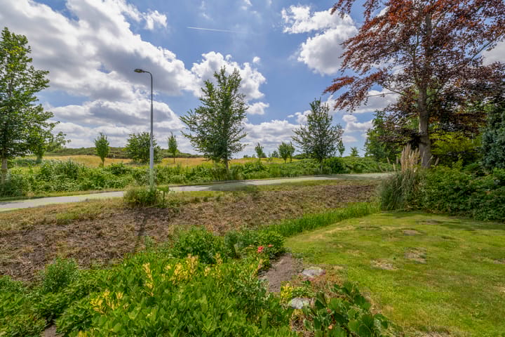 Foto 8 van Koekoekslaan 81