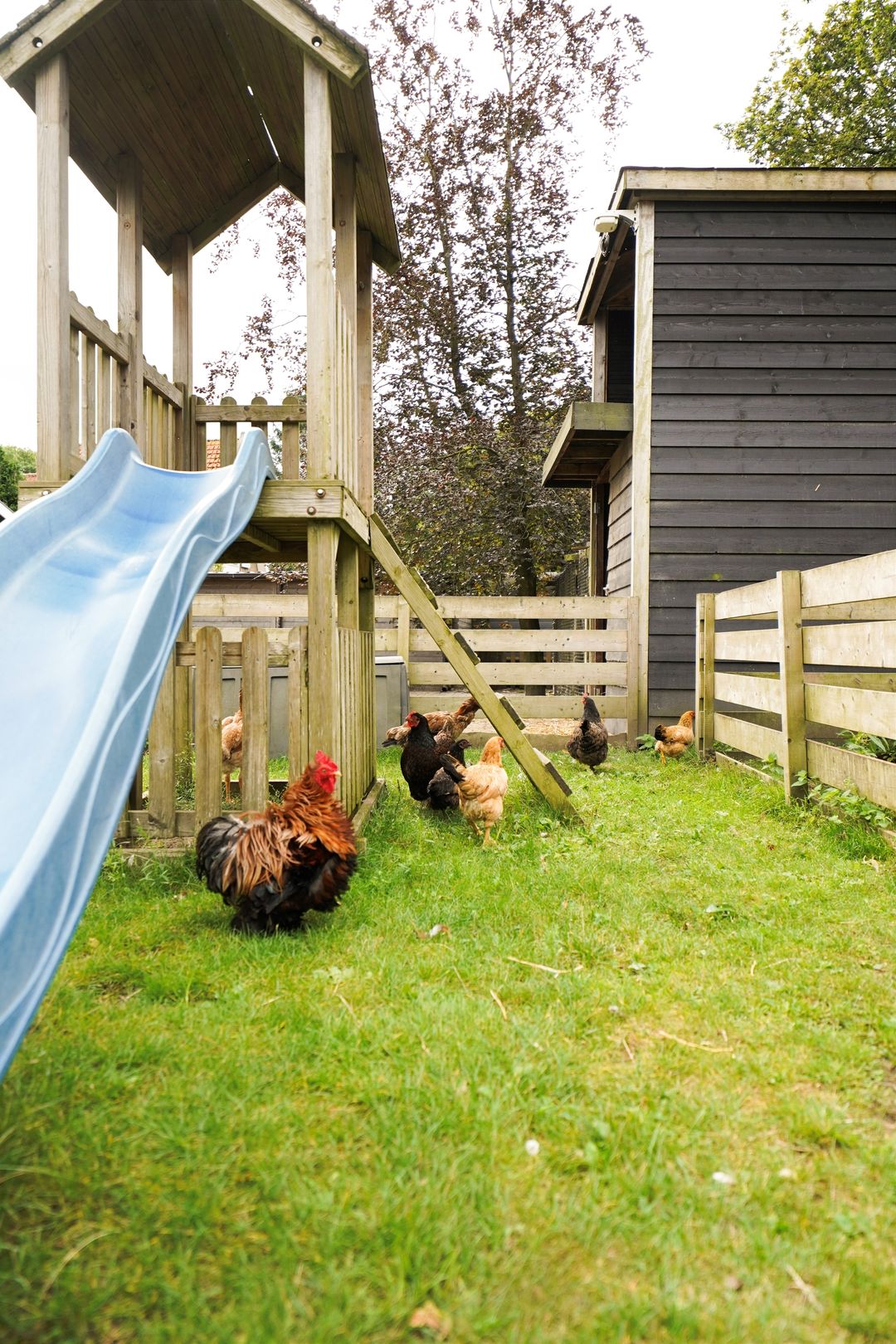 Photo 22 of Eendenparkweg 33-26