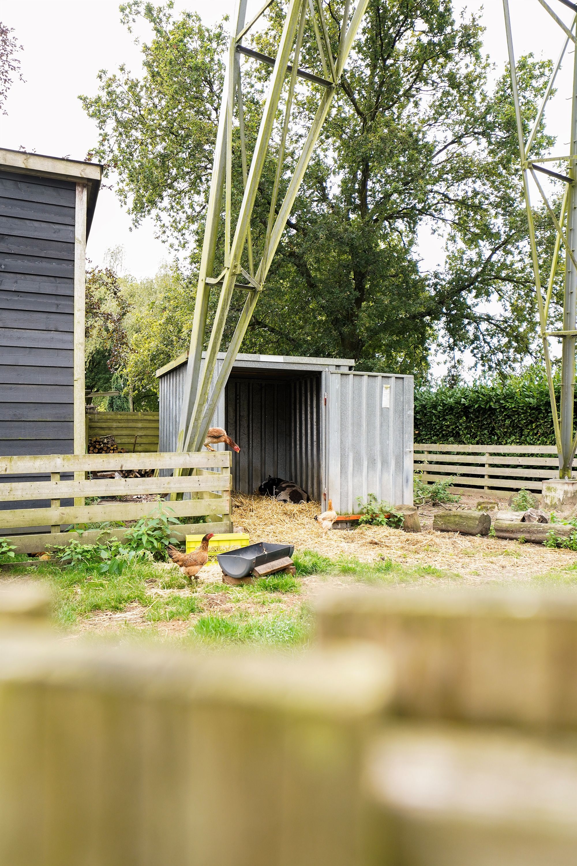 Photo 24 of Eendenparkweg 33-26