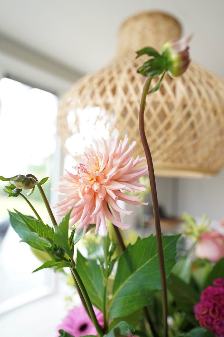 Foto 53 van Eendenparkweg 33-26