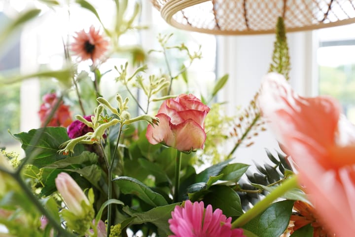 Foto 54 van Eendenparkweg 33-26