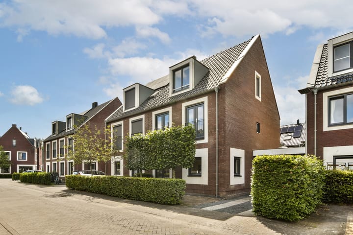 Boterbloem 8