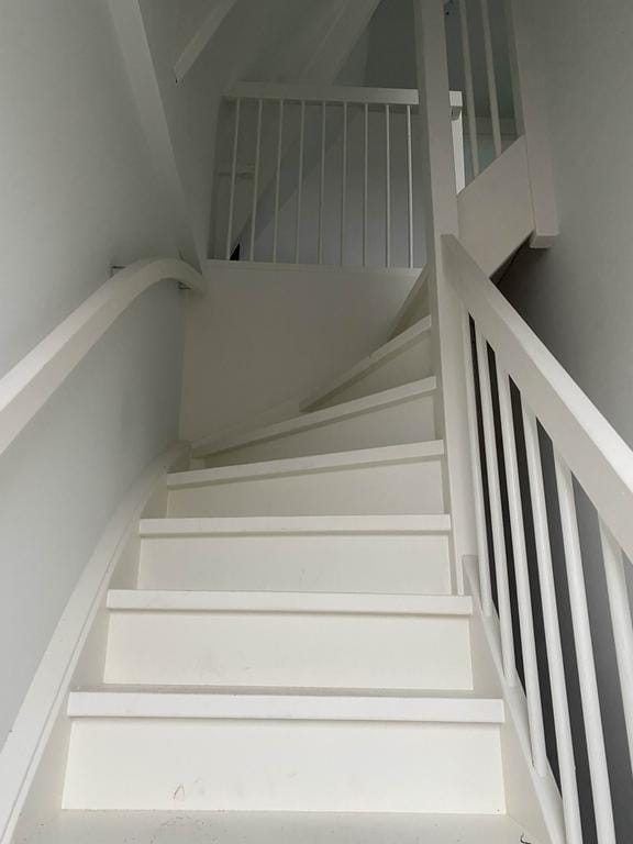 Foto 16 van Nije Buorren 8