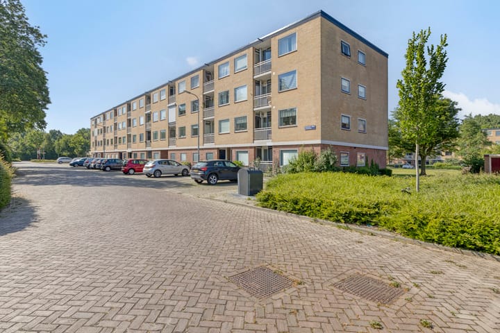 Foto 3 van Ferdinandus Gomes Alemanstraat 44