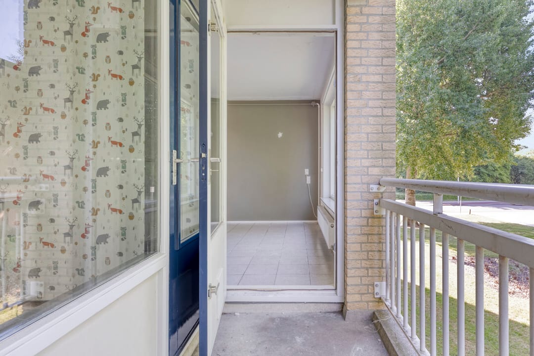 Foto 22 van Ferdinandus Gomes Alemanstraat 44