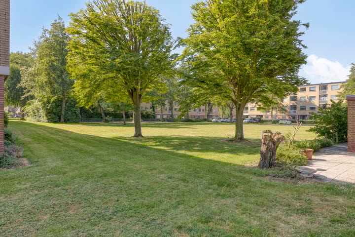 Foto 31 van Ferdinandus Gomes Alemanstraat 44