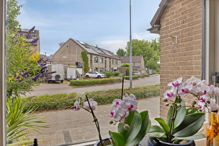 Photo 27 of Rolklaver 146