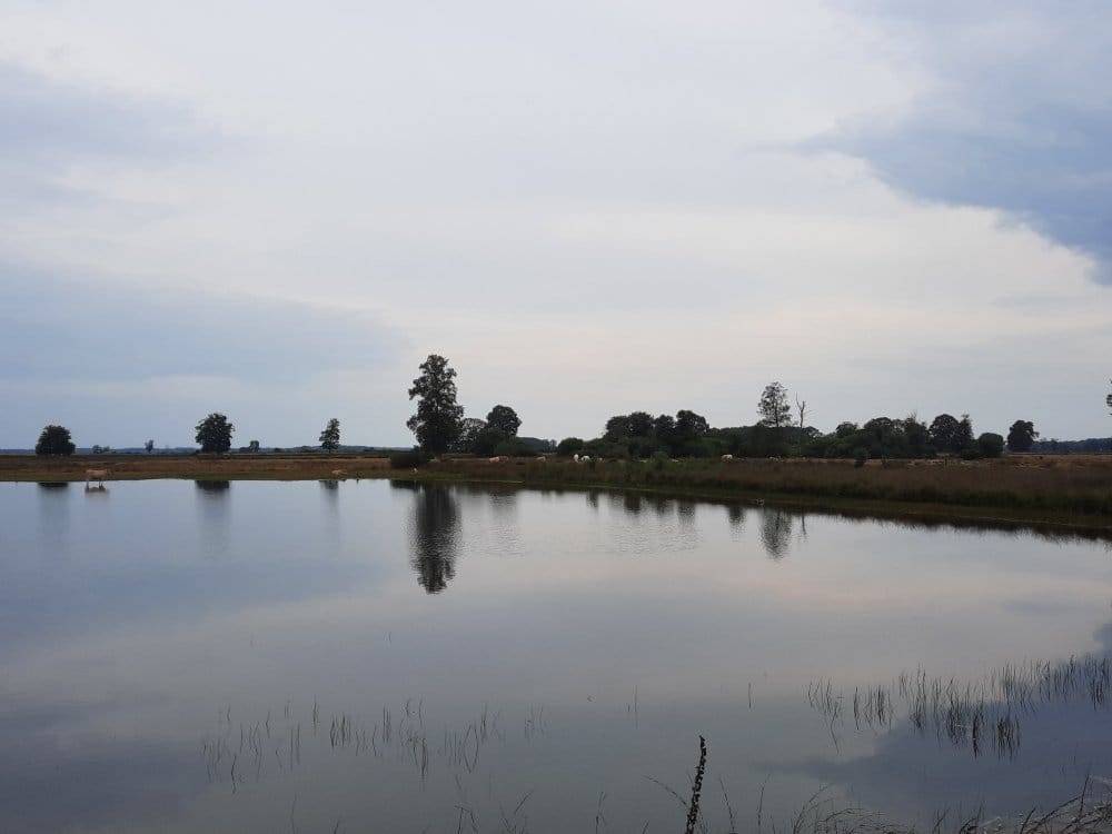 Photo 33 of Oranjekanaal NZ 10-0026