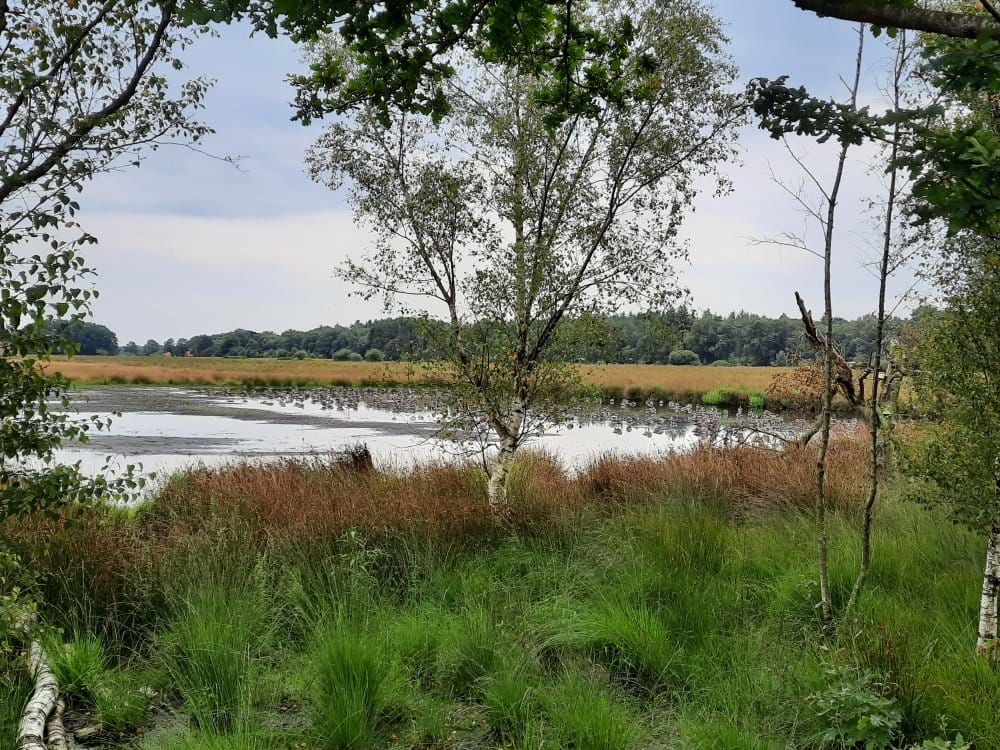 Photo 32 of Oranjekanaal NZ 10-0026