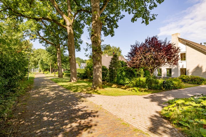 Foto 75 van Flokstrapad 5