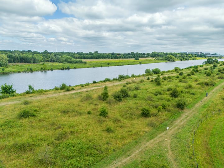 Foto 6 van Watermunt 144