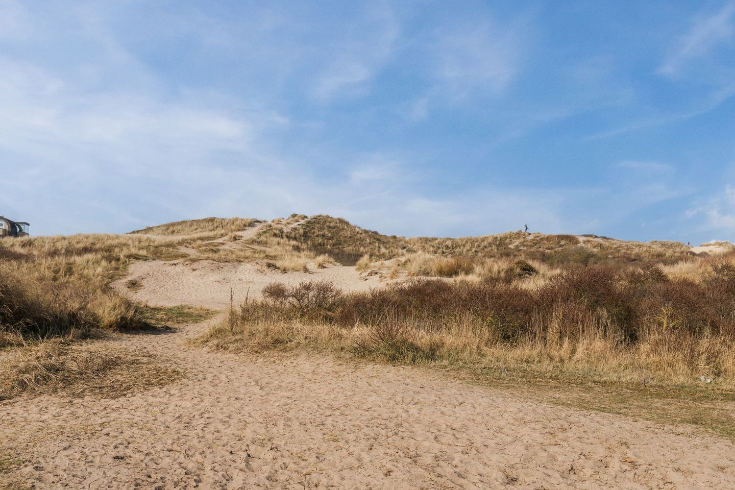 Foto 50 van Dr Wiardi Beckmanlaan 76